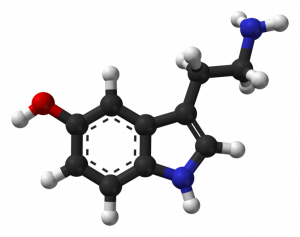Serotonin from wikimedia commons
